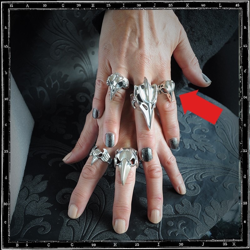 バードスカル BIRD SKULL PENDANT - LARGE | クレイジーピッグ公式オンライン