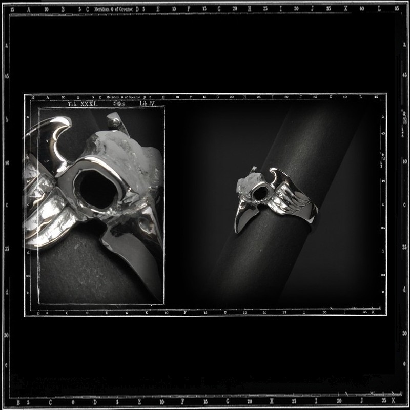 SMALL WINGED BIRD SKULL RING