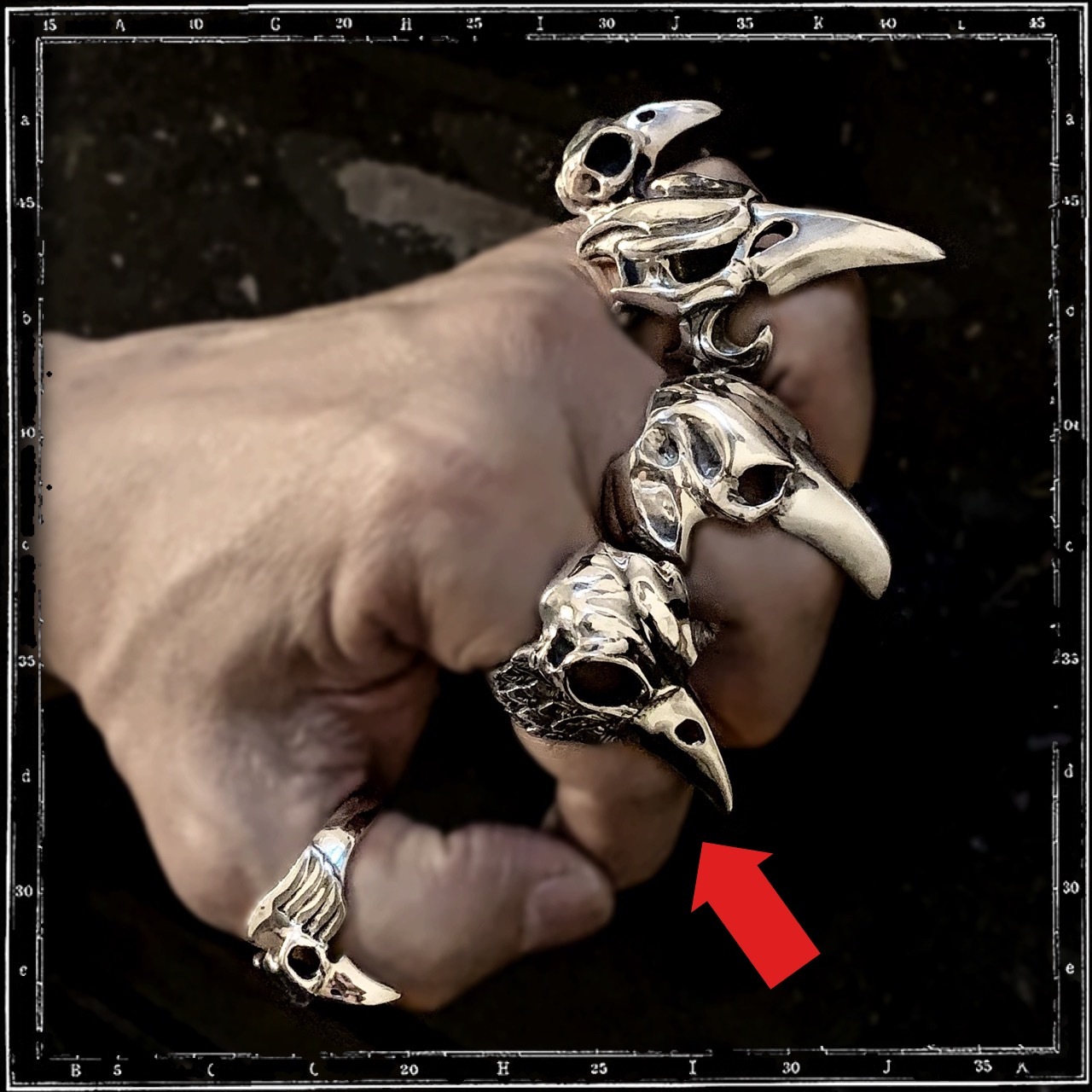 BIRD SKULL & FEATHERS RING - LARGE