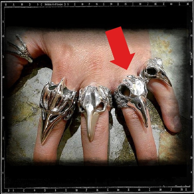 BIRD SKULL & FEATHERS RING - LARGE