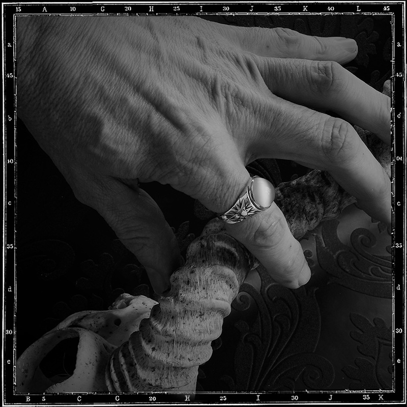 NIGHT AND DAY STONE RING