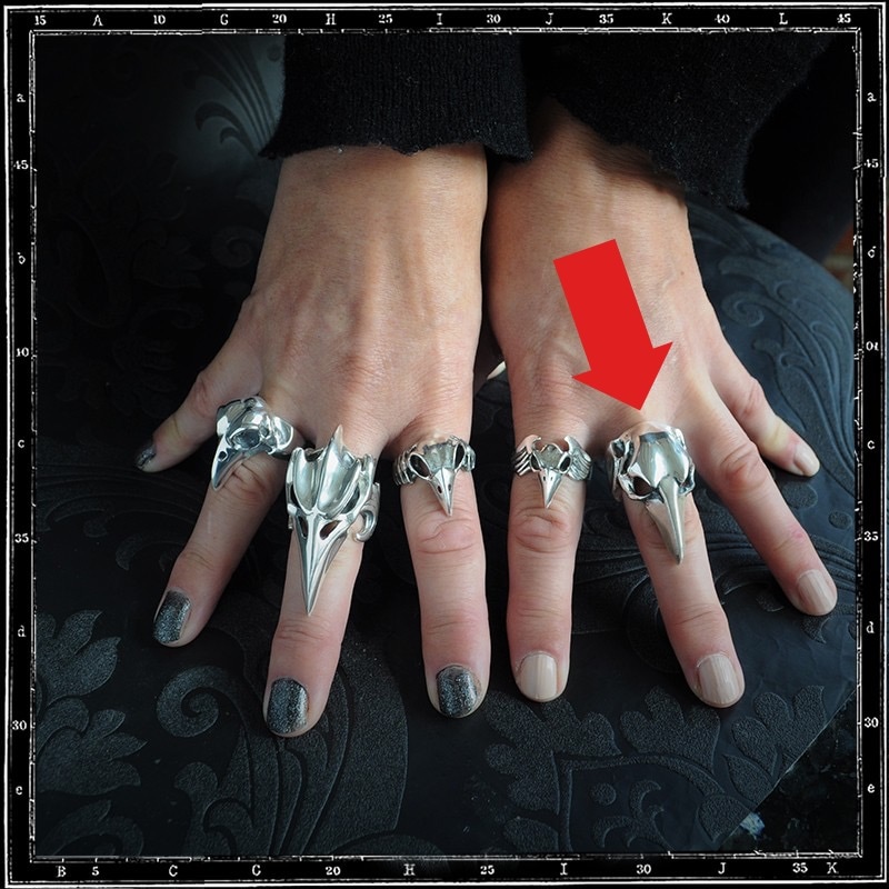 クレイジーピッグ カッタウェイスカルリング 13号 美品 hide着用モデル♪ クレイジーピッグバードスカルリング13号 CRAZY PIG