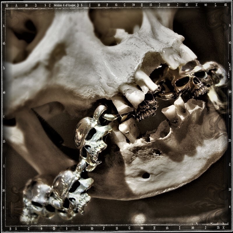 EVIL SKULL LINK BRACELET | クレイジーピッグ公式オンライン