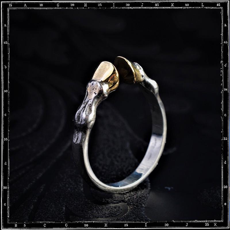 ELEGANT HOOVES RING