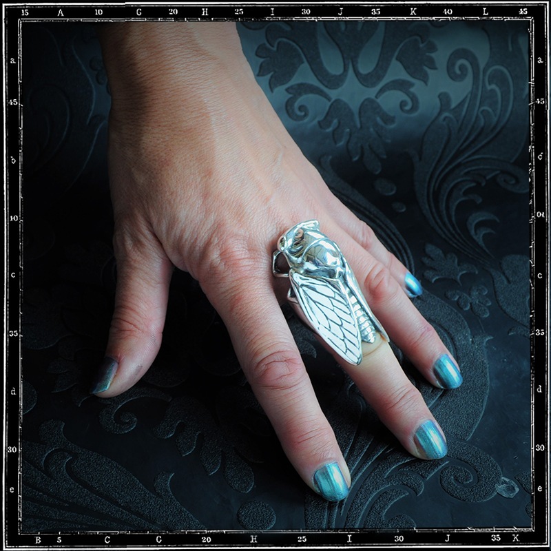 CICADA RING
