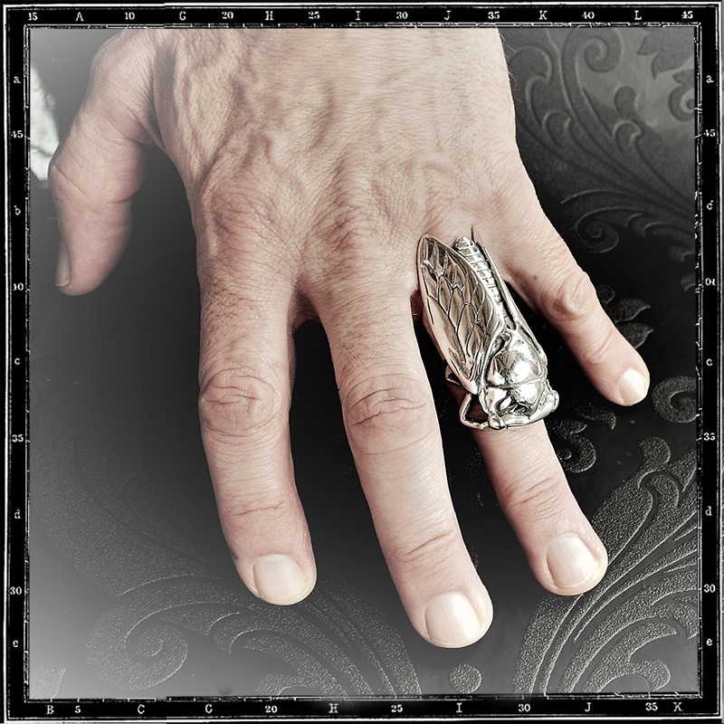 CICADA RING