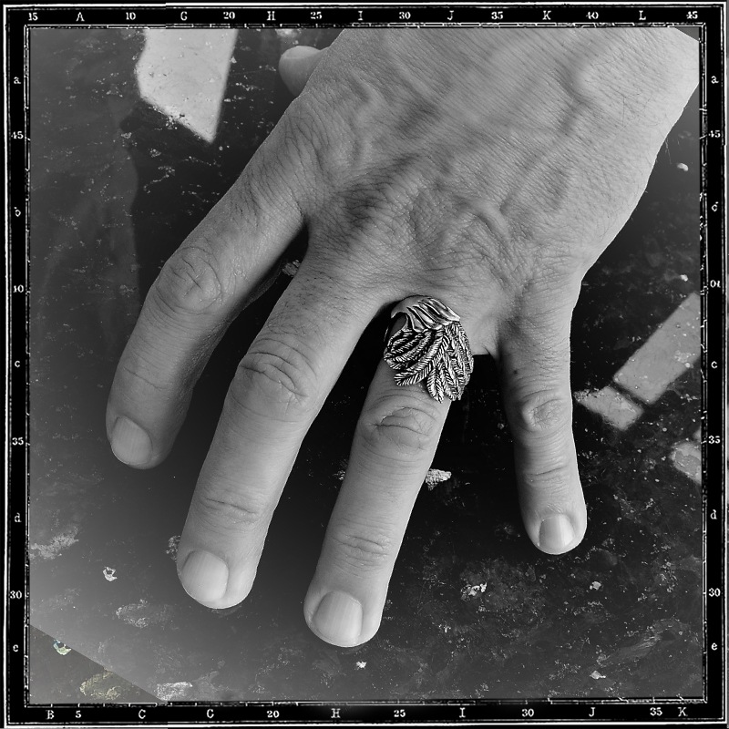 WINGS OF DESTINY RING