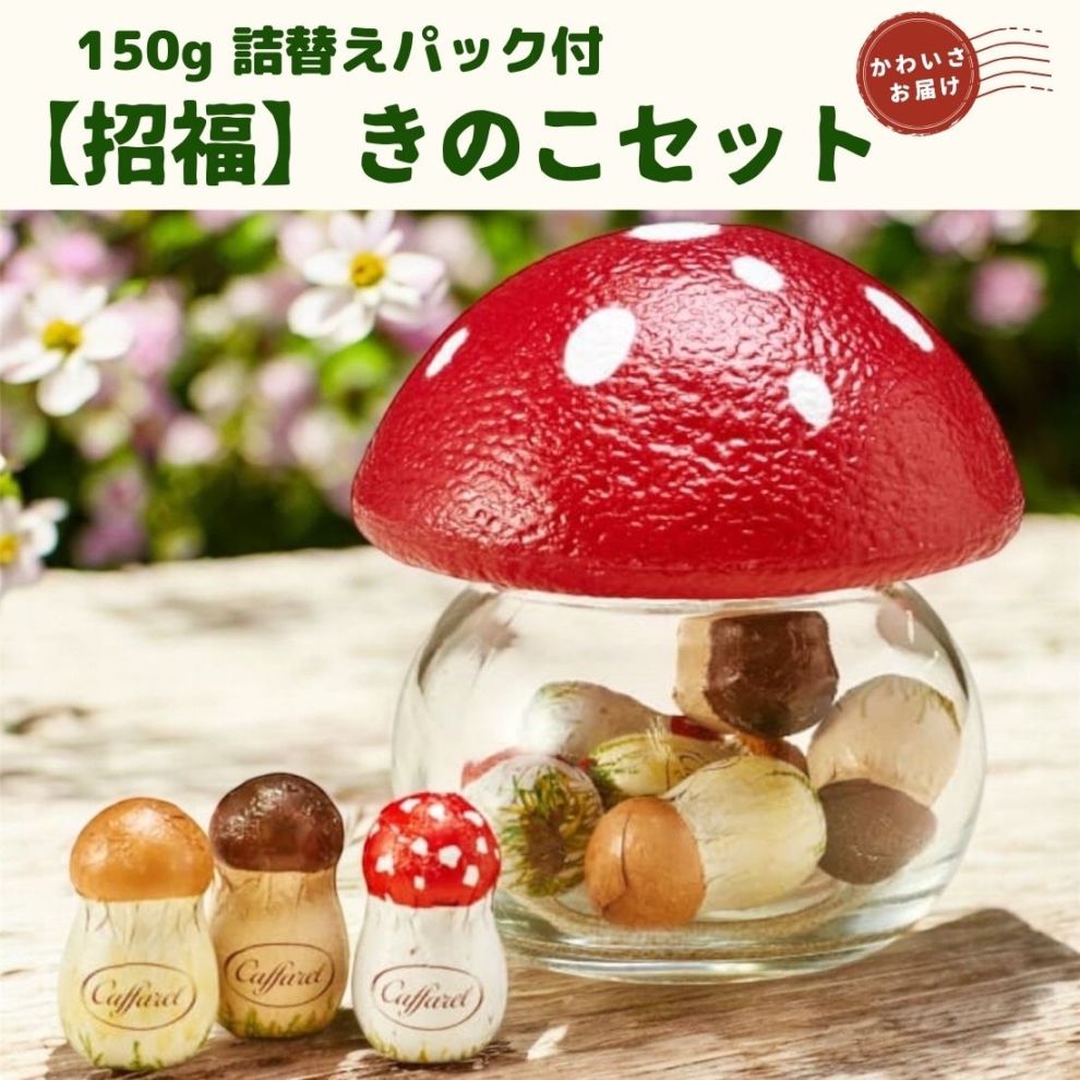 【招福】きのこセット