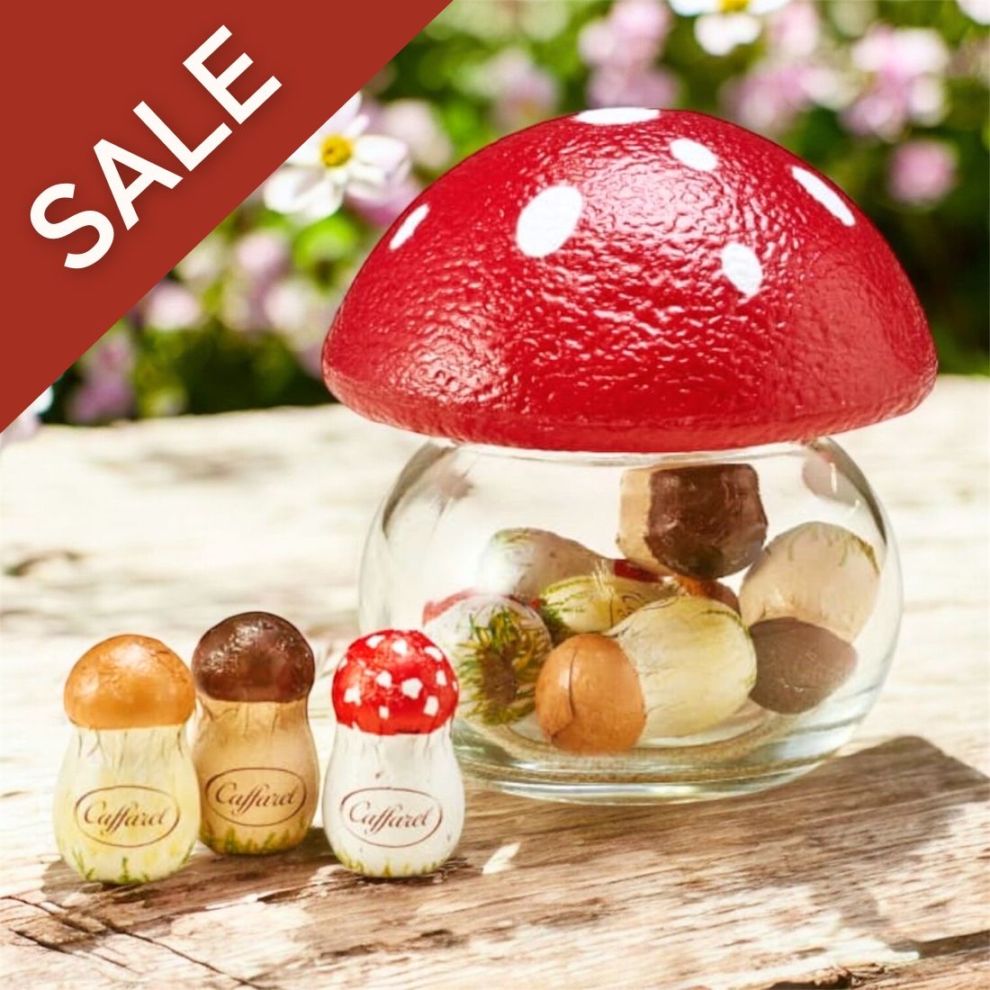 ☆アウトレット価格【きのこポット赤】｜カファレル公式-チョコレート