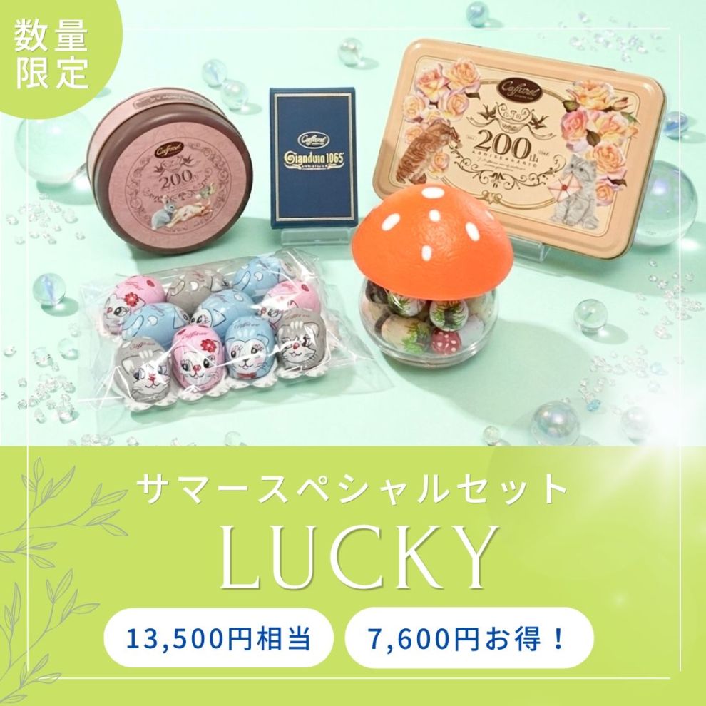 サマースペシャルセットラッキー｜カファレル公式-チョコレートのお
