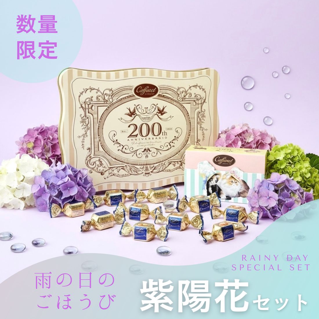 紫陽花セット