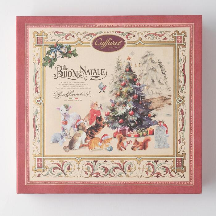 ڥꥹޥ2025ۥ祳졼ȥ֥å