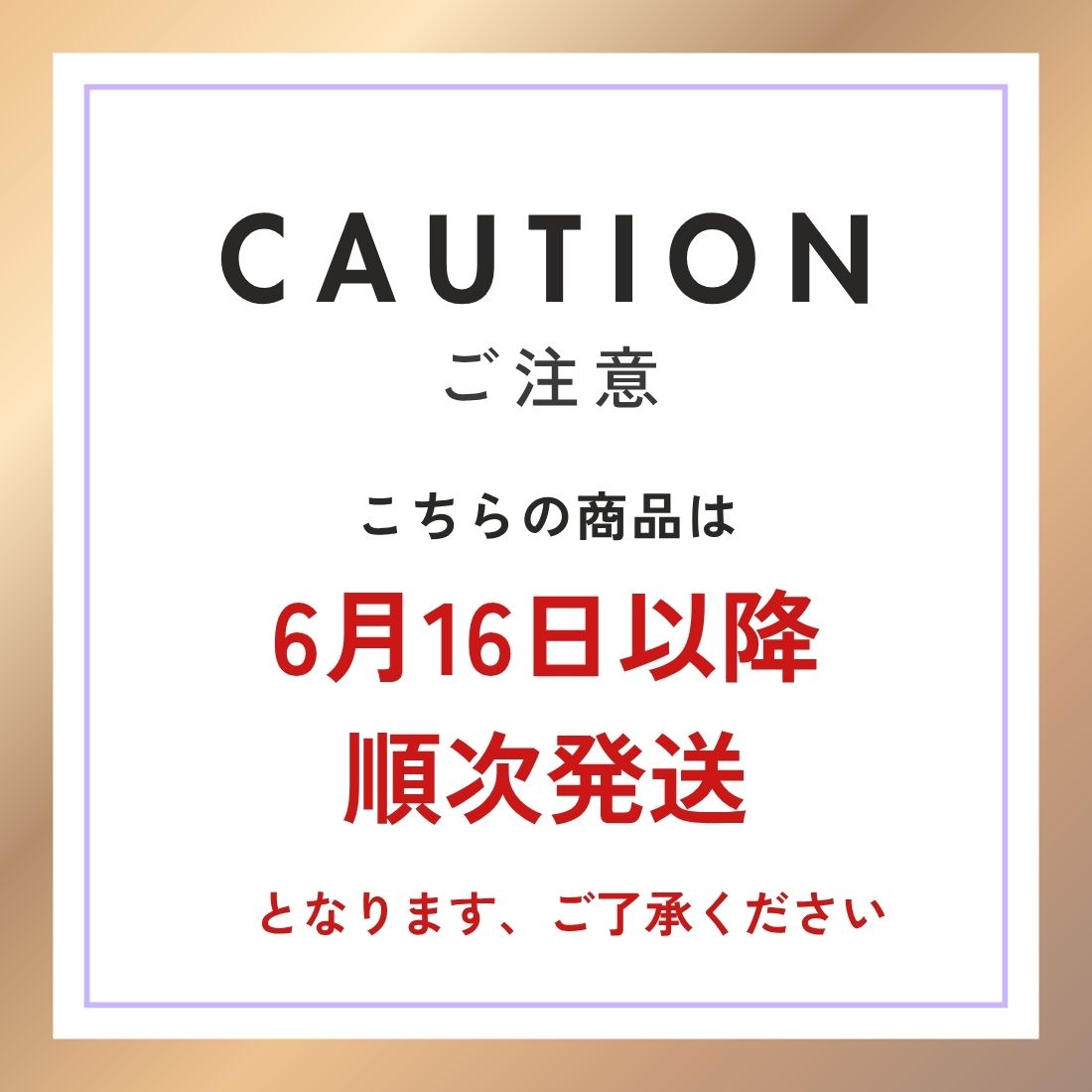 サマースペシャルセットラッキー