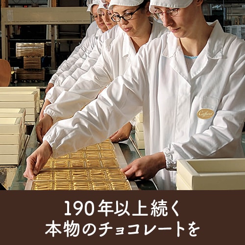 ��450g�ѥå��ۥ����ɥ�����ӥ��� ���祳�졼��