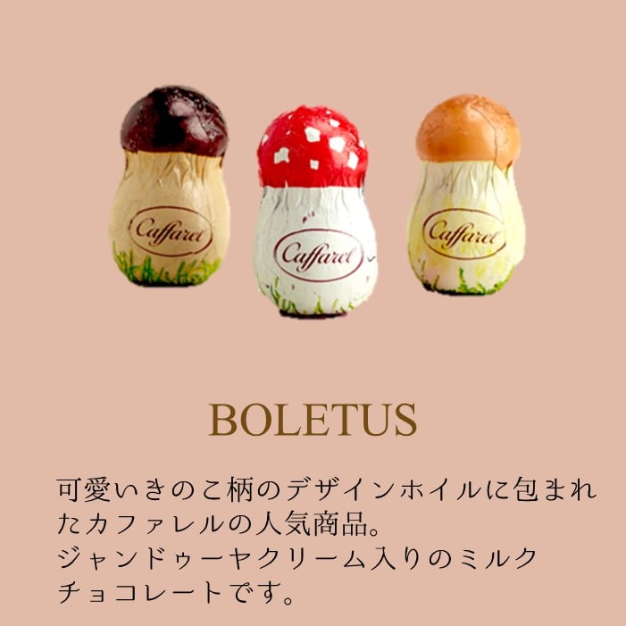 【招福】きのこセット