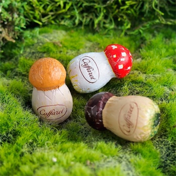 ☆アウトレット価格【きのこポット赤】｜カファレル公式-チョコレート