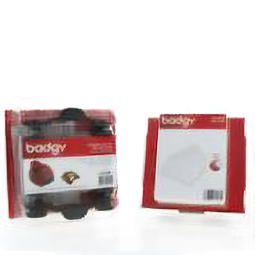 EVOLIS �Хå��������ʥ��å� 25 ���ץ饤�켰(������������) VBDG25