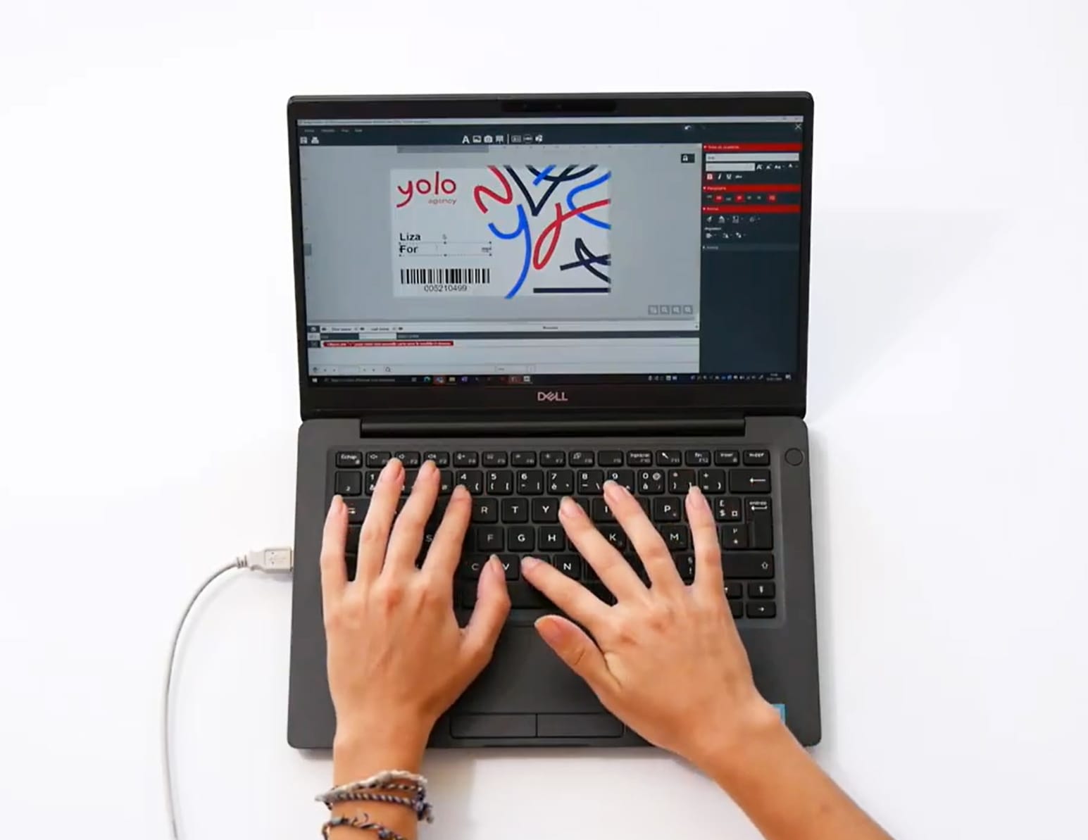 EVOLIS ɥץ Badgy100(Хå100) B12URS