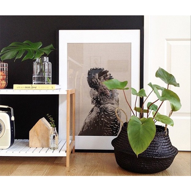 【3/11-12:00-20:00のみのタイムセール50%OFF】イギリスから Olli Ella オリエラ　Black Belly Basket - Medium 直径35cm [ラッピング不可]