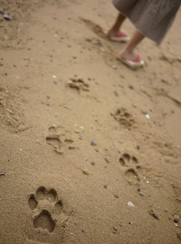 kiko+ キコ ashiato アシアト 変わり下駄　当店会員になってashiatoをお買い上げで750円相当ポイント贈呈！