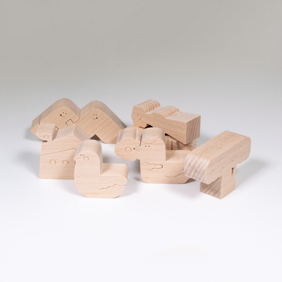 IRIKI polycube puzzle cube 形合わせボックス