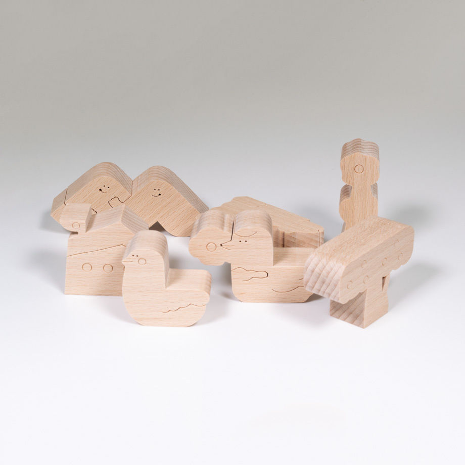 IRIKI polycube puzzle cube 形合わせボックス