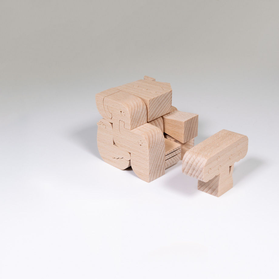 IRIKI polycube puzzle cube 形合わせボックス