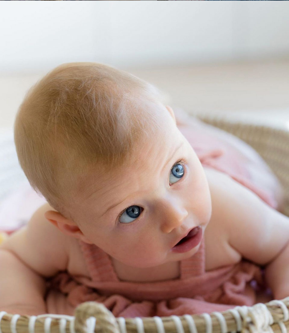 [50%OFF]  From spain 1+in the family STINTINO girly romper -/80/90 BLUE NOTTE 1+in the family ワンモアインザ・ファミリー\肌着・ロンパース・ボディ