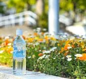 中央大学オリジナルウォーター「中大水」1箱