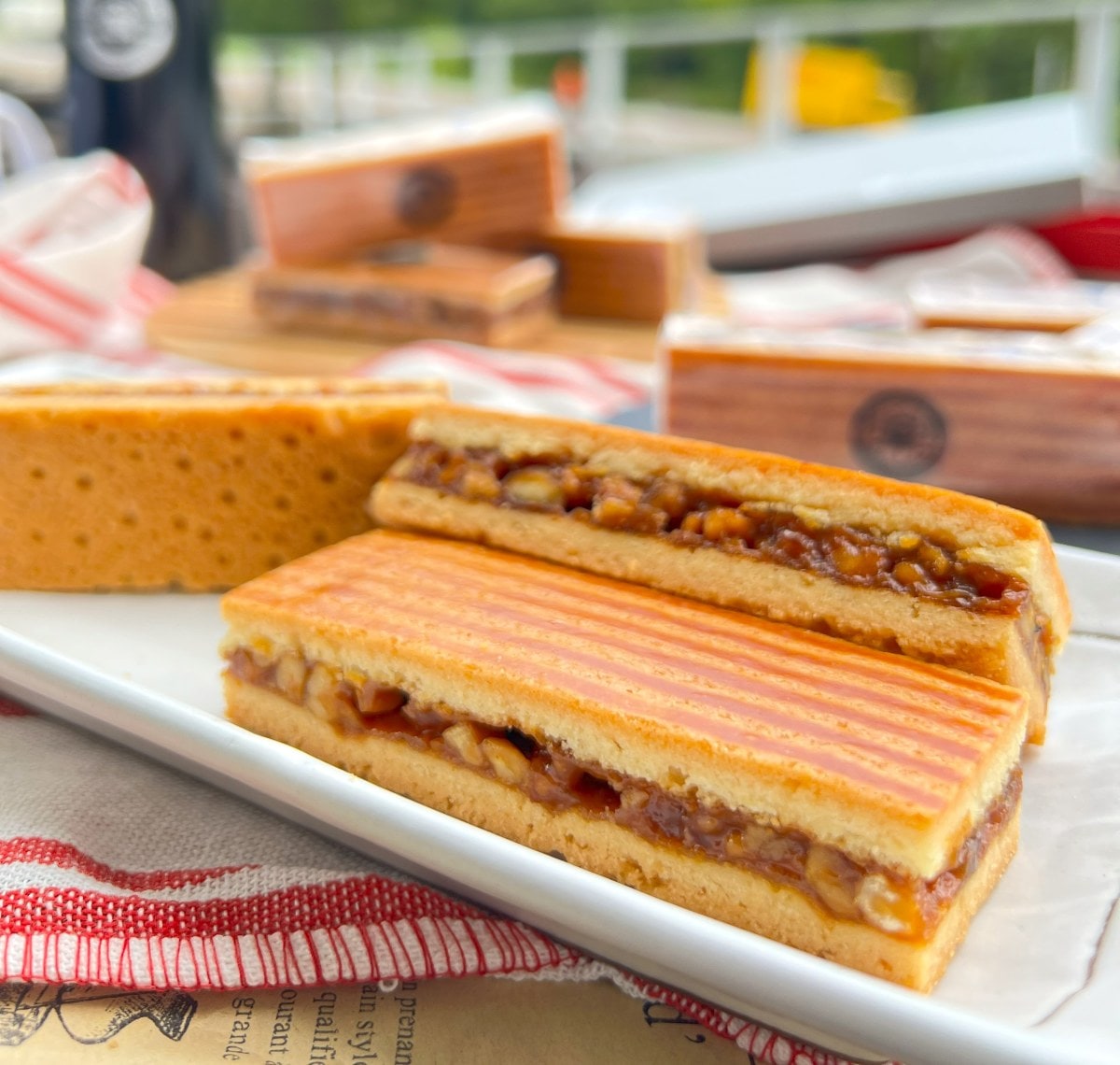 中大×バーゼル「ガトー・オ・ノア」BOX 10個入