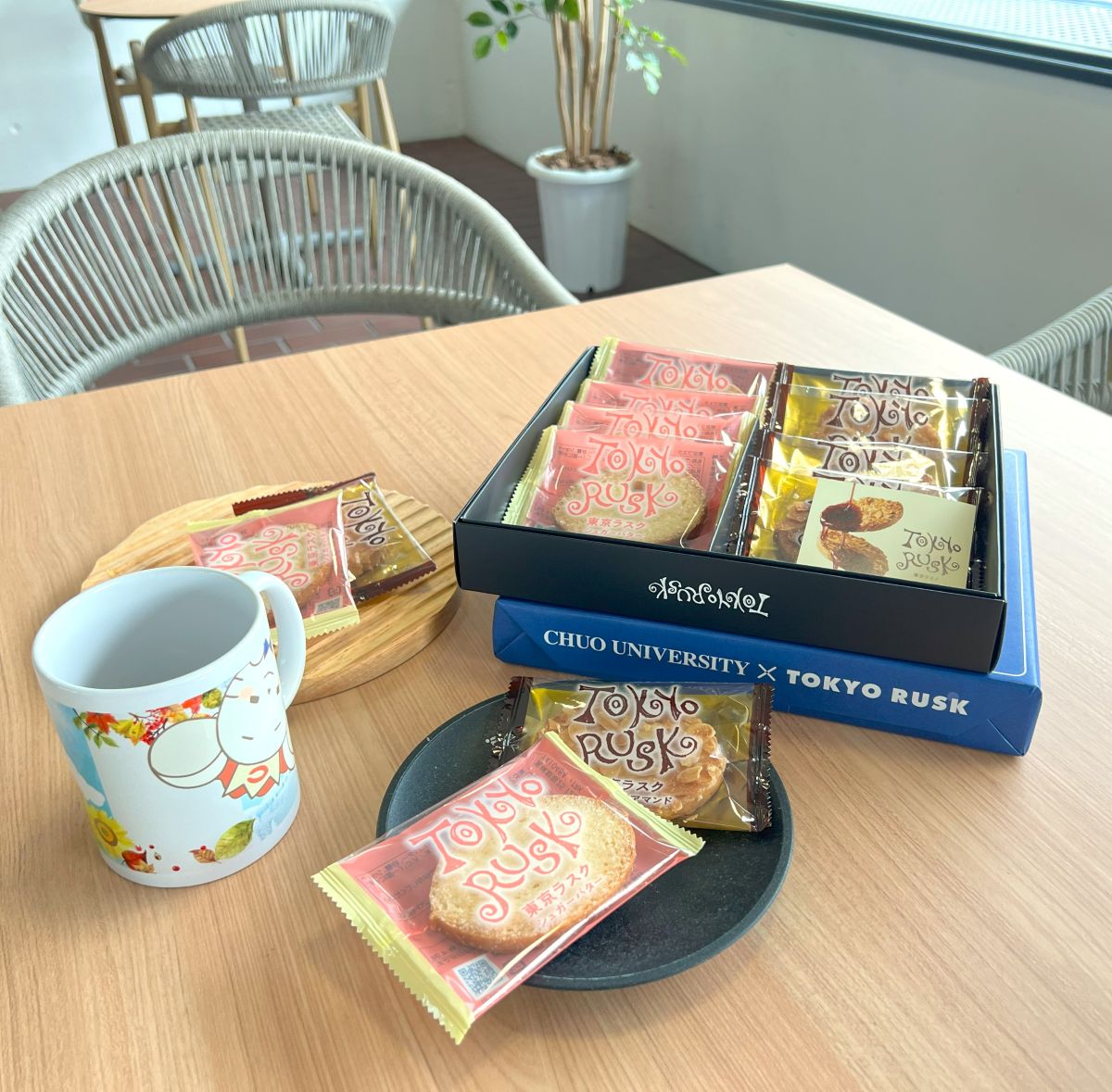 中央大学×東京ラスク　ギフトボックス12枚