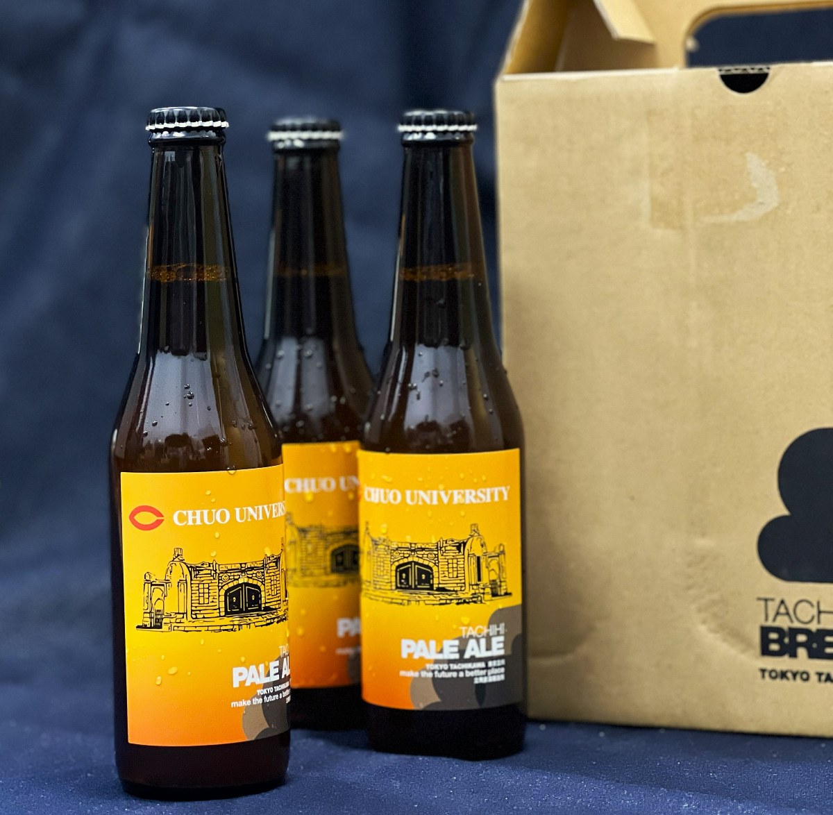 中大×立飛ペールエール 3本セット