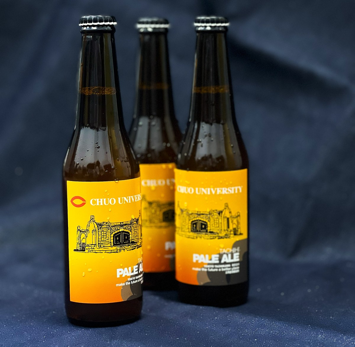 中大×立飛ペールエール 3本セット