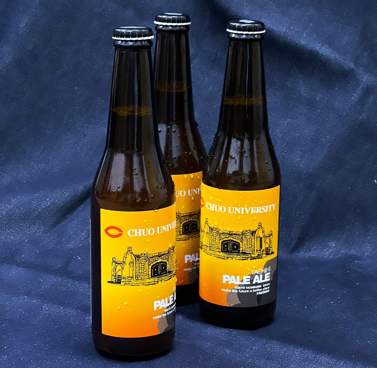 中大×立飛ペールエール 24本セット | 酒類 | 中央大学オフィシャル