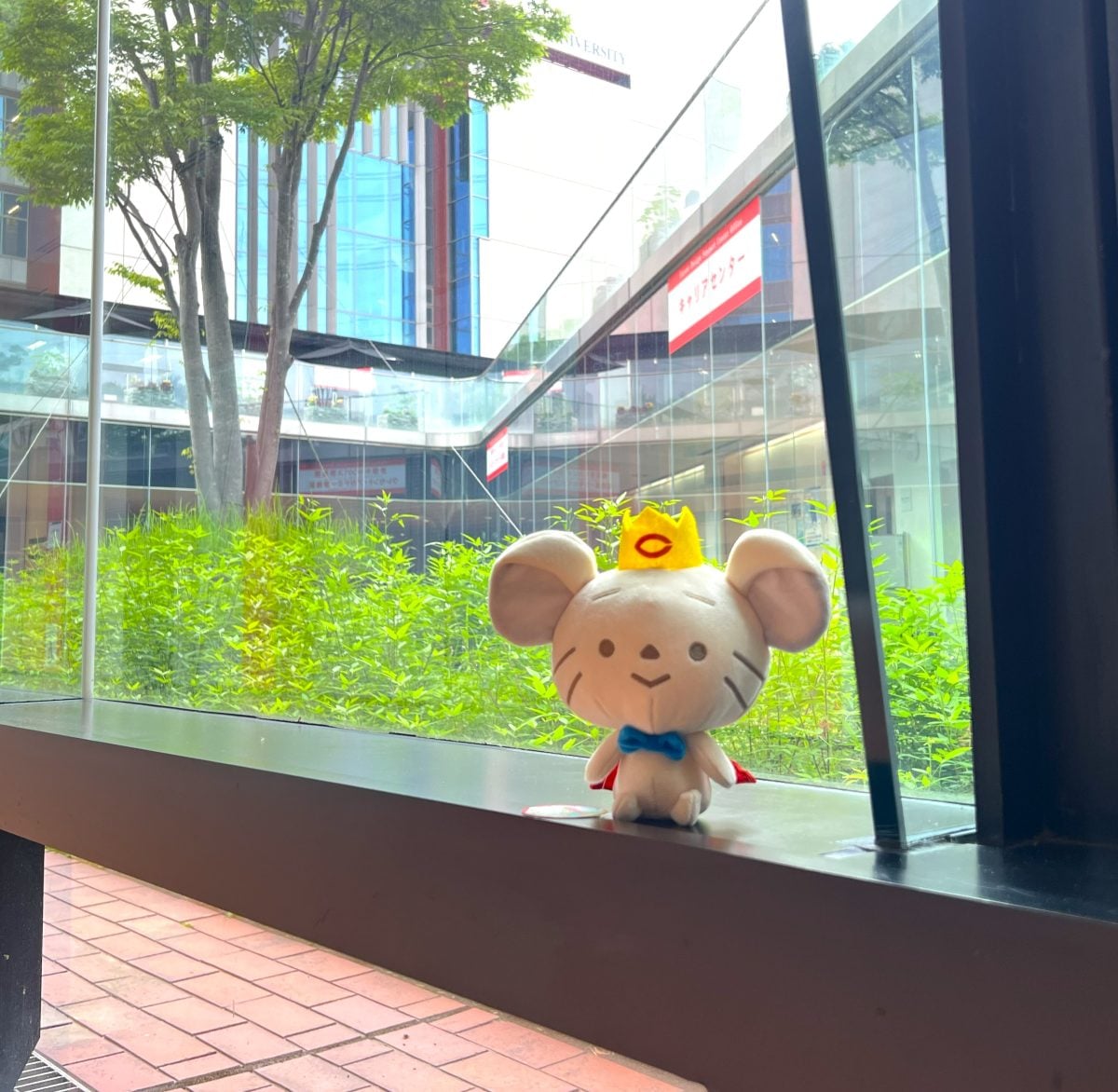 チュー王子ぬいぐるみ S