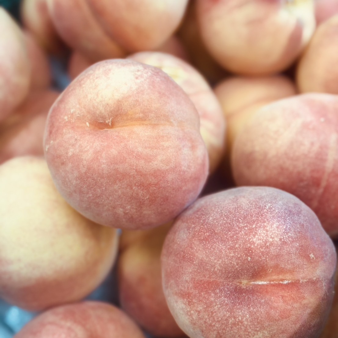 ＜期間限定＞信州ヴィーガンバターサンド 川中島白桃(3個セット)