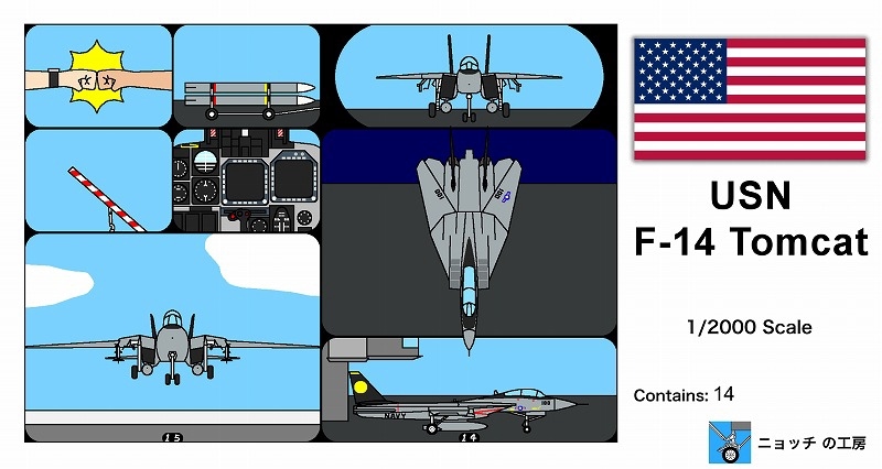 1/2000　アメリカ海軍 F-14トムキャット