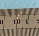 1/2000ϻ25mmϢ