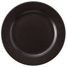 ����� �֥�å� 9"�ץ졼��