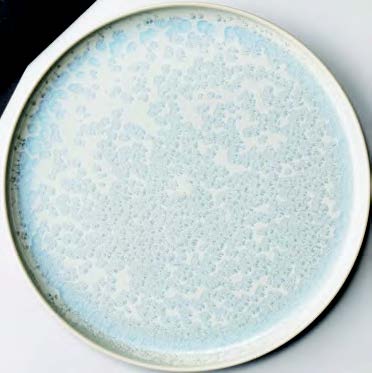 ��Ϫ 8.5��������Ω����������