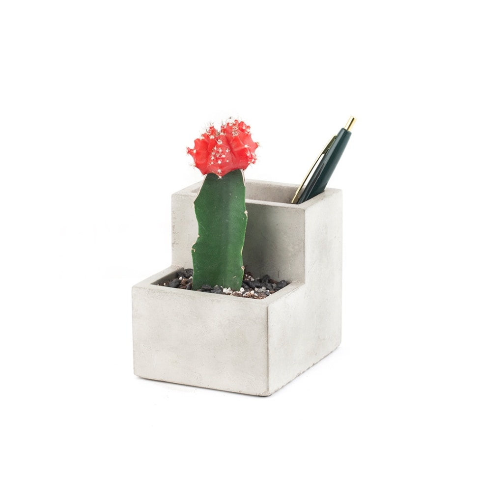 Concrete Desktop Planter 