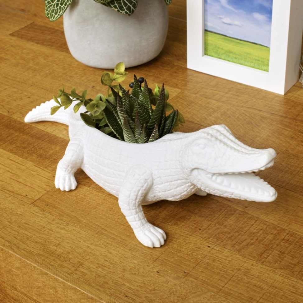 Chomp The Gater Planter