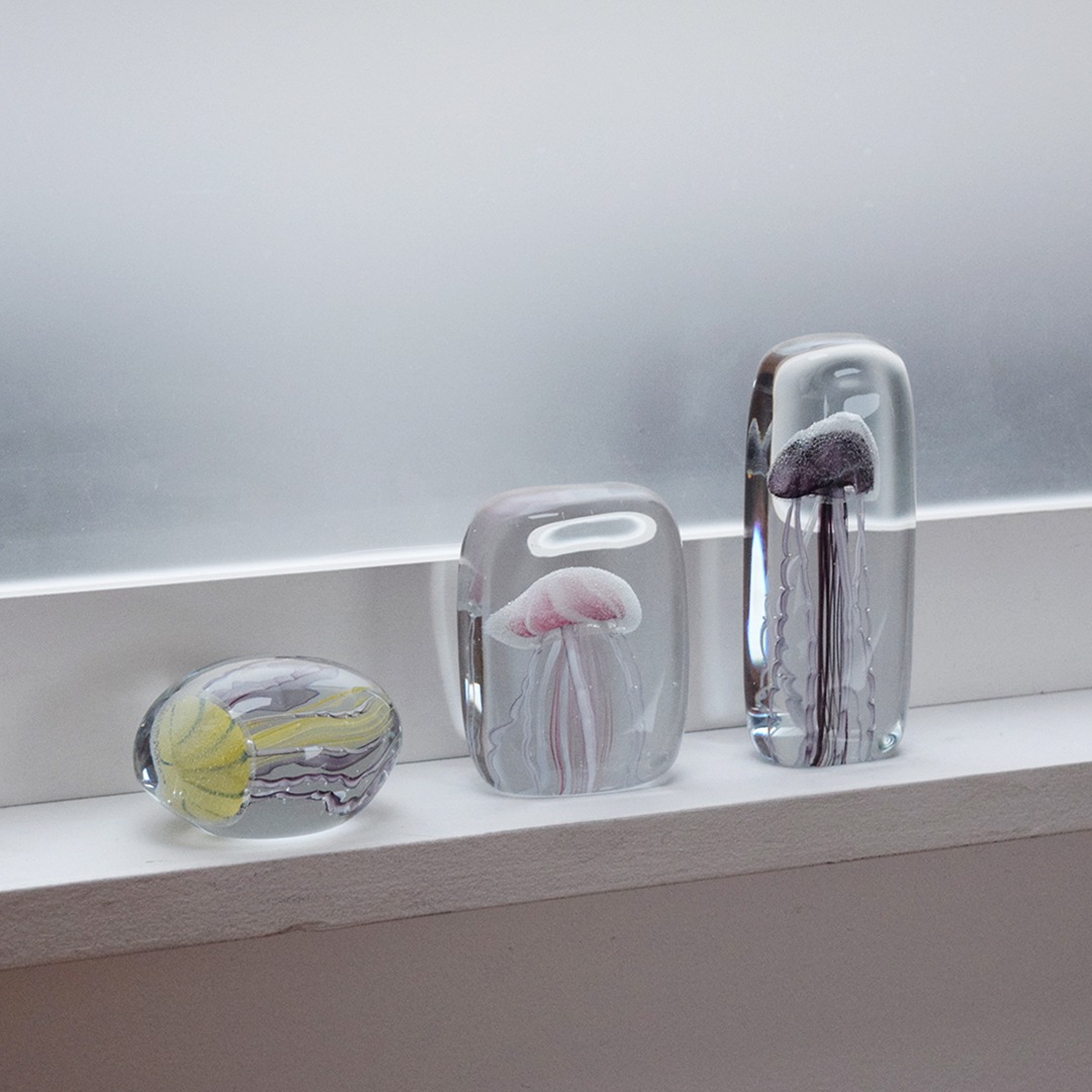 ジェリーフィッシュ ツイストレッグ 