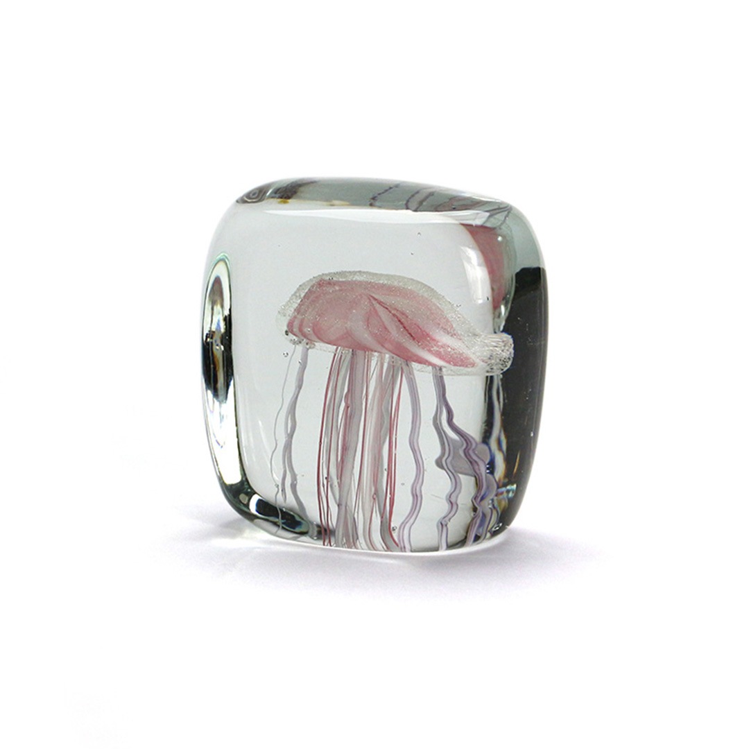 ジェリーフィッシュ ツイストレッグ 