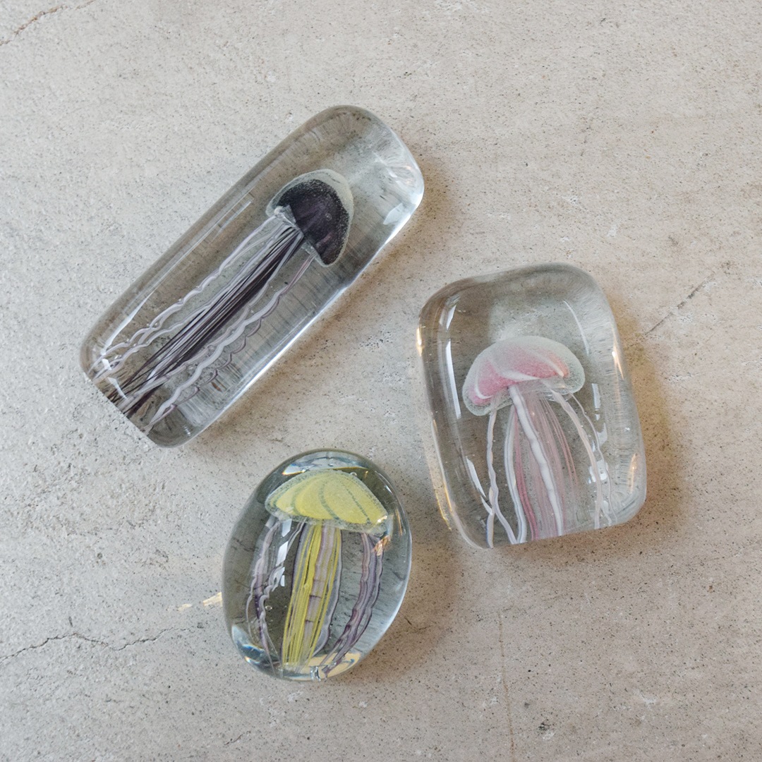 ジェリーフィッシュ ツイストレッグ 