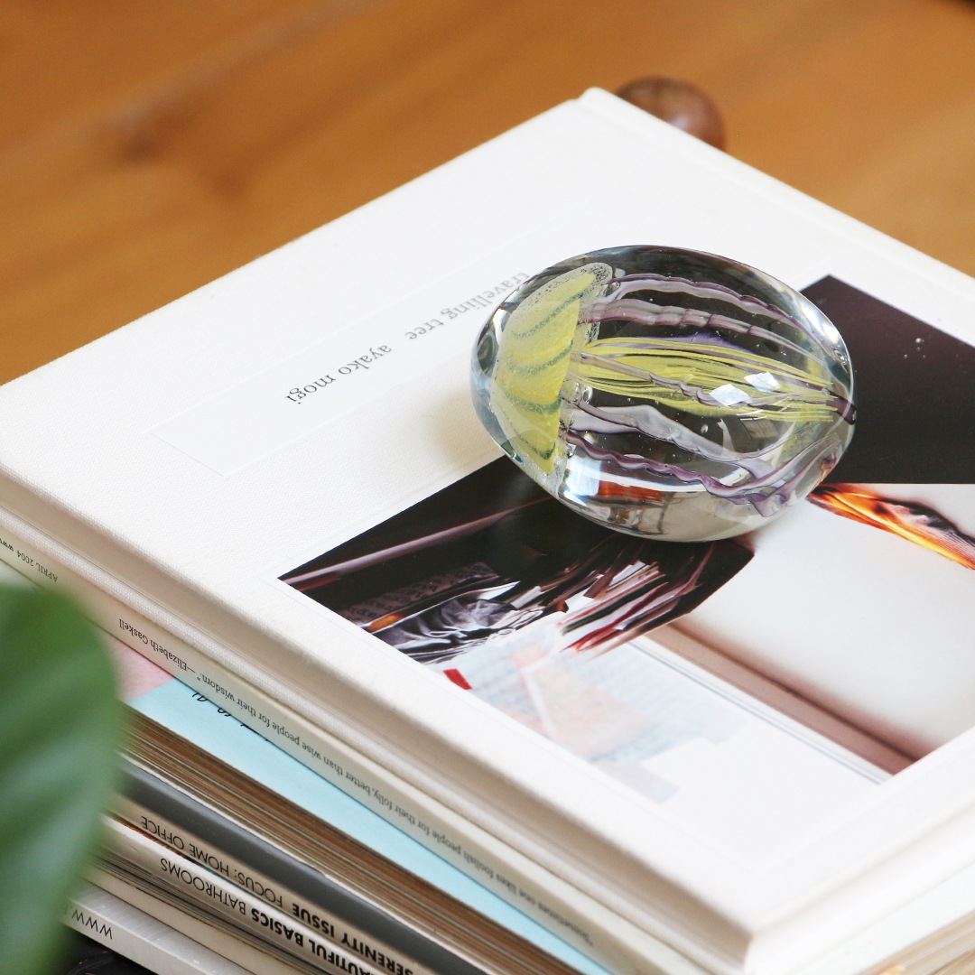 ジェリーフィッシュ ツイストレッグ 