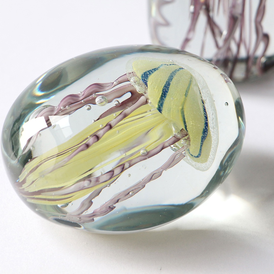 ジェリーフィッシュ ツイストレッグ 