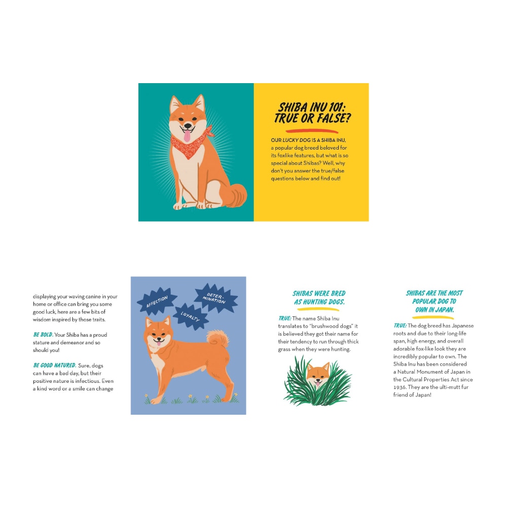 トイ&ブック ”ラッキードッグ