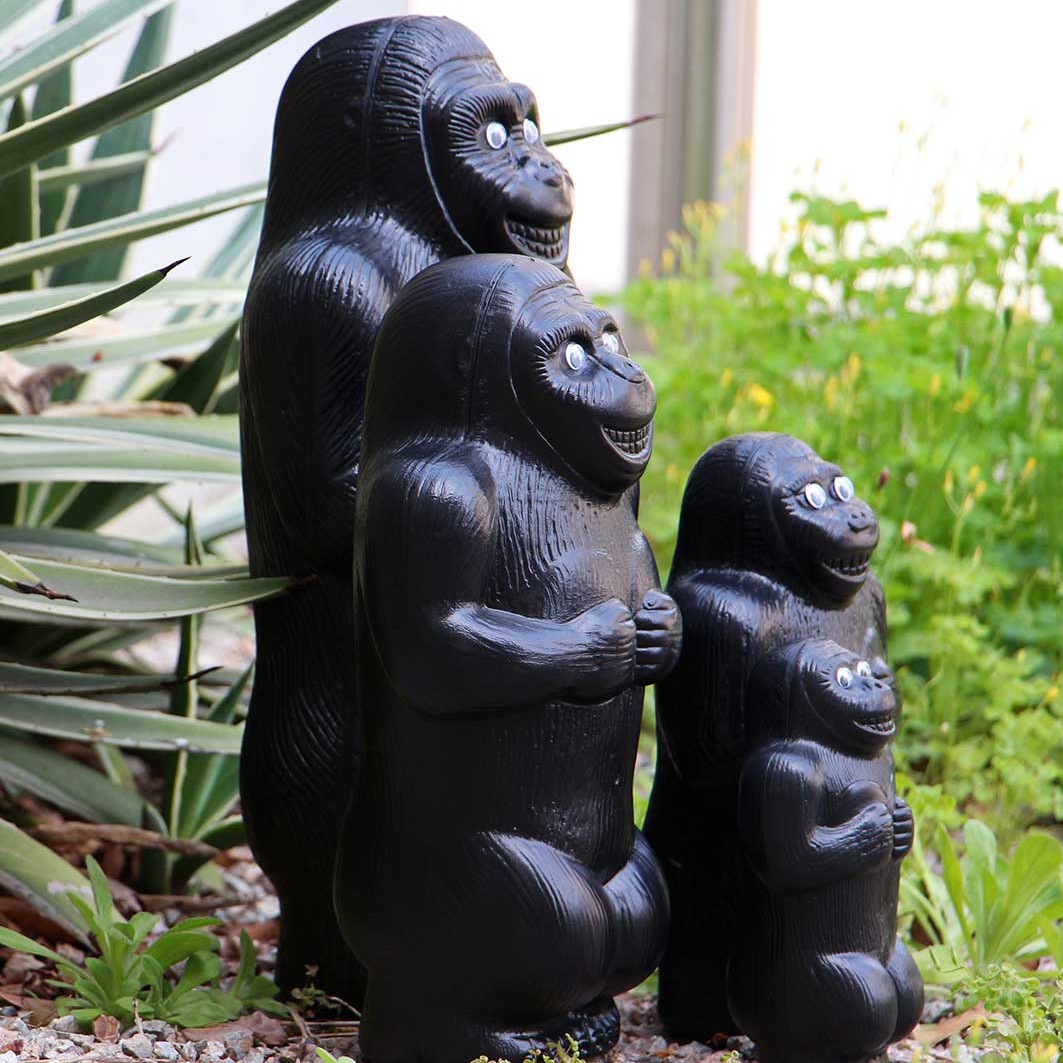 ゴリラGO！ ゴリラバンク 