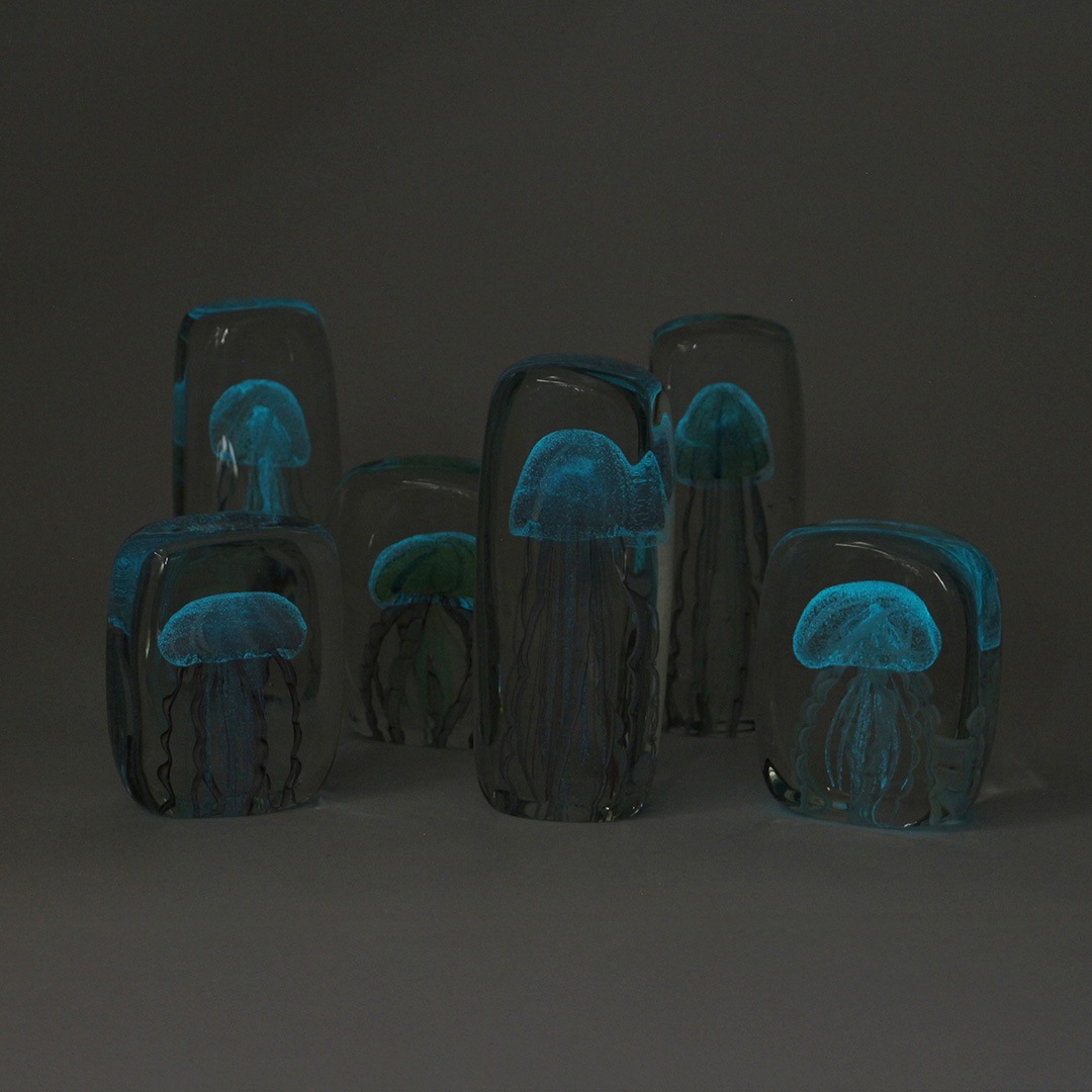 ジェリーフィッシュ ツイストレッグ 